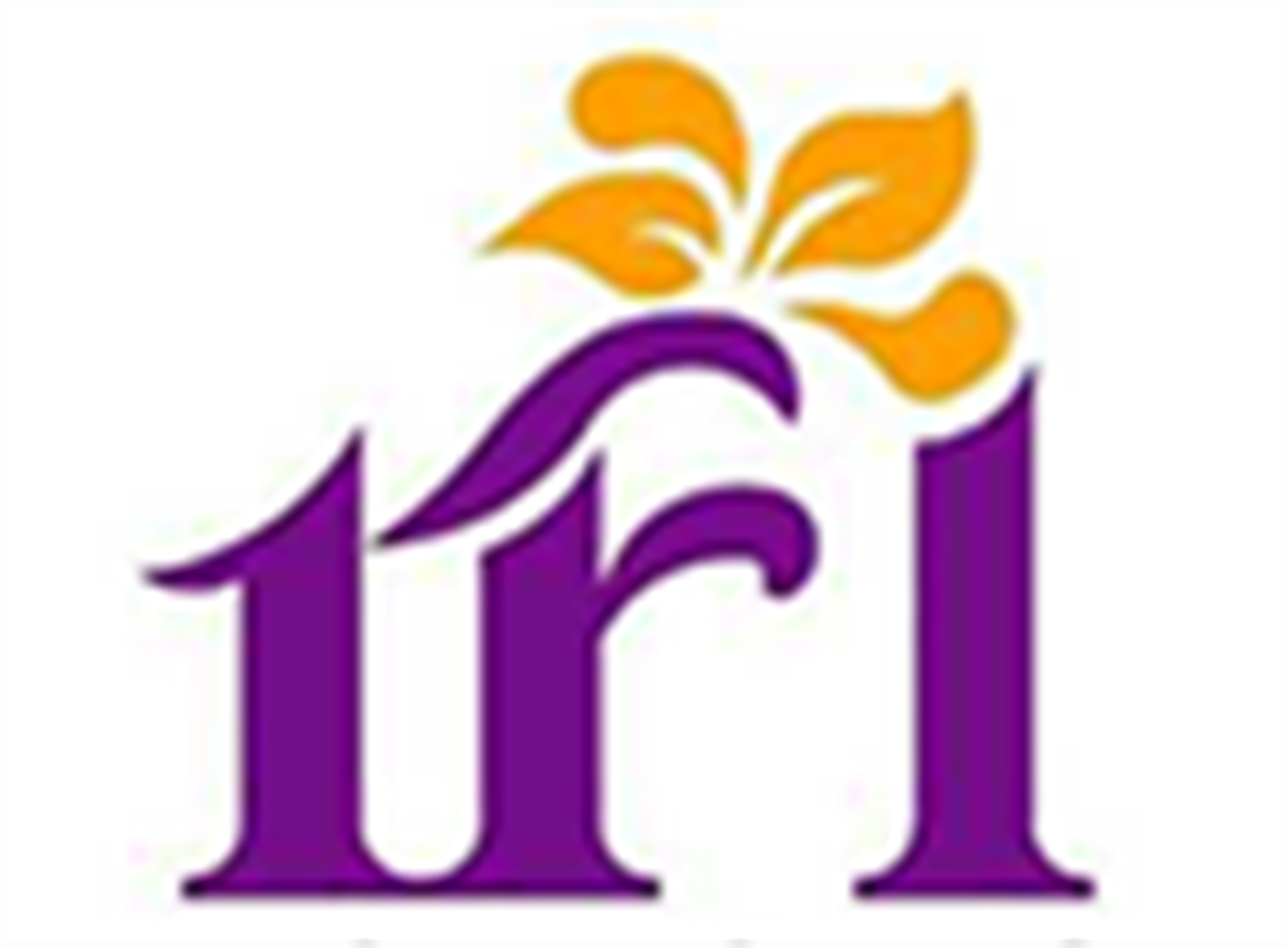 Thiết kế website